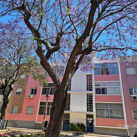 Blife Farensya Private Rooms Faro Bagian luar foto