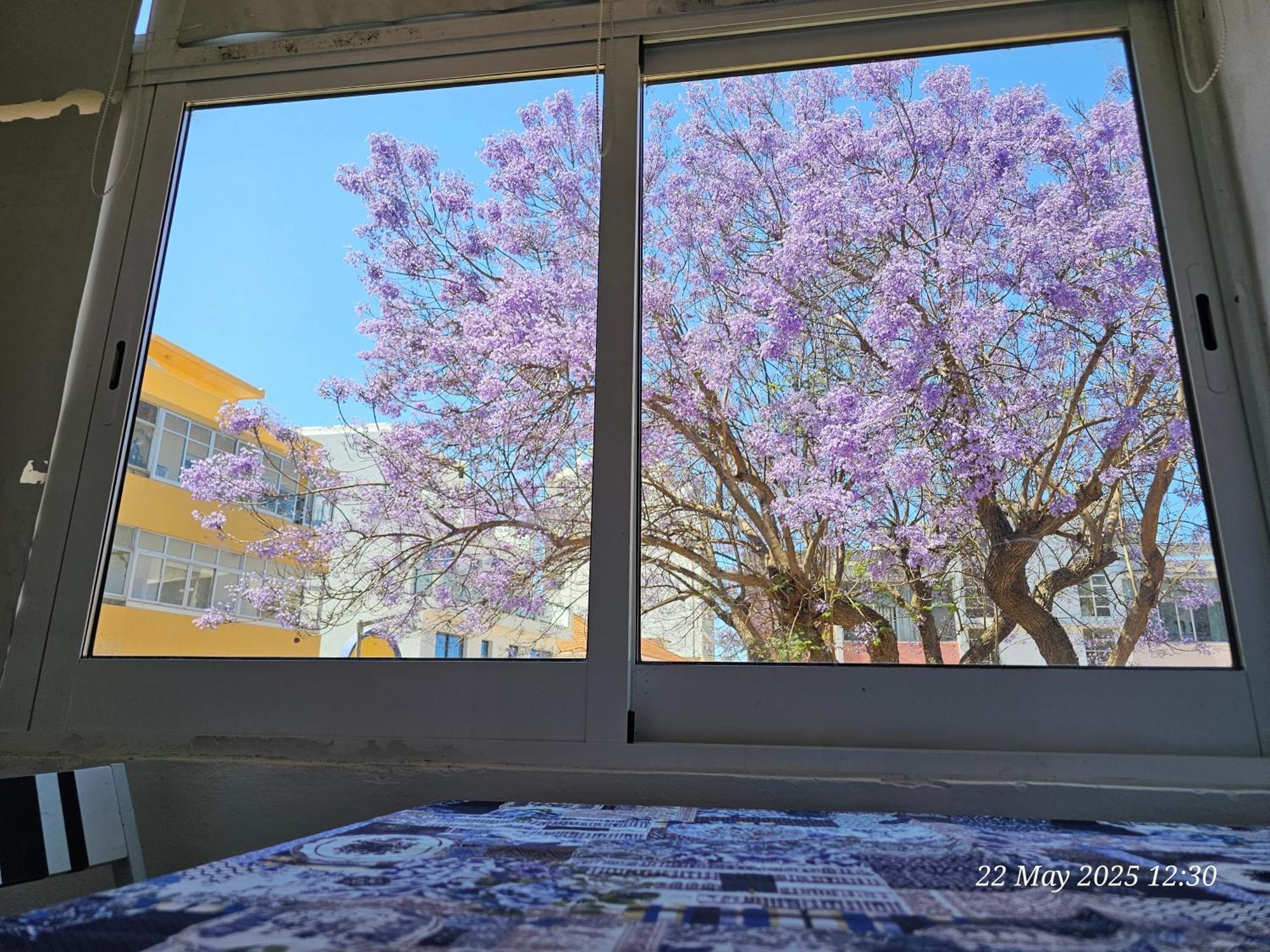 Blife Farensya Private Rooms Faro Bagian luar foto